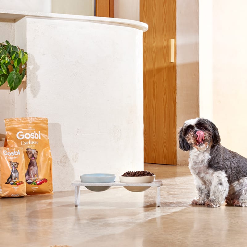 Exclusive Dog Adult Mini Chicken